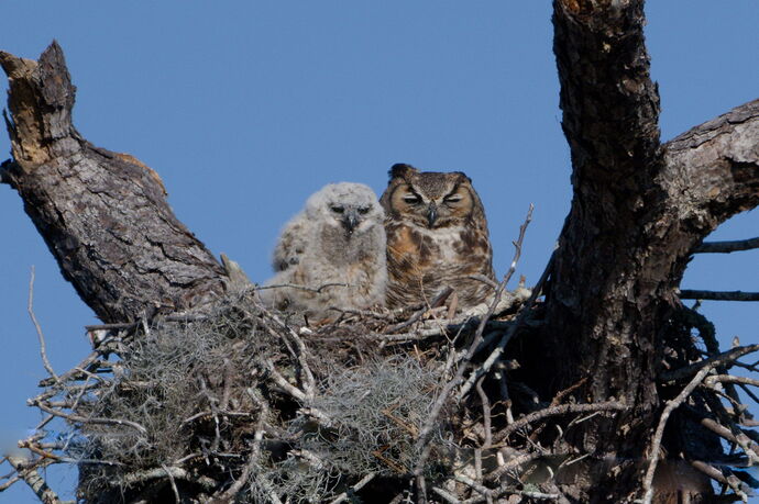 DSC_5563_DxO.jpg