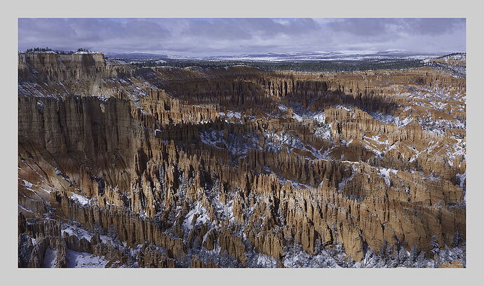 _DSF2609_psd1_1500px