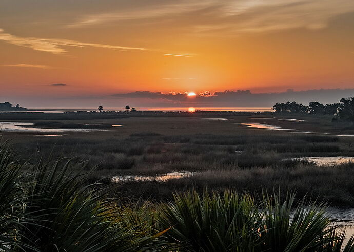 smnwr sunrise npn.jpg