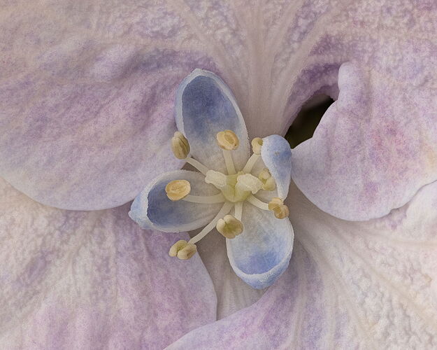 2025-06-28-10.54.28 ZS PMax-Edit.jpg
