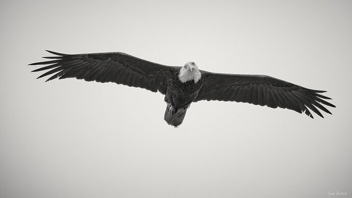 20230614_105803_DB12547