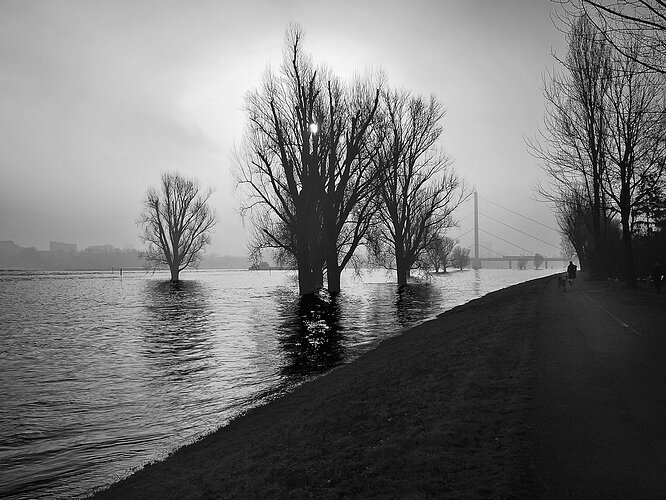 20180127-A6255681-004A-4760-8A42-1D665F519E1F