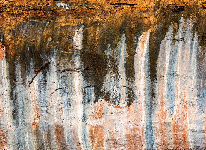 Zion National Park-33.jpg