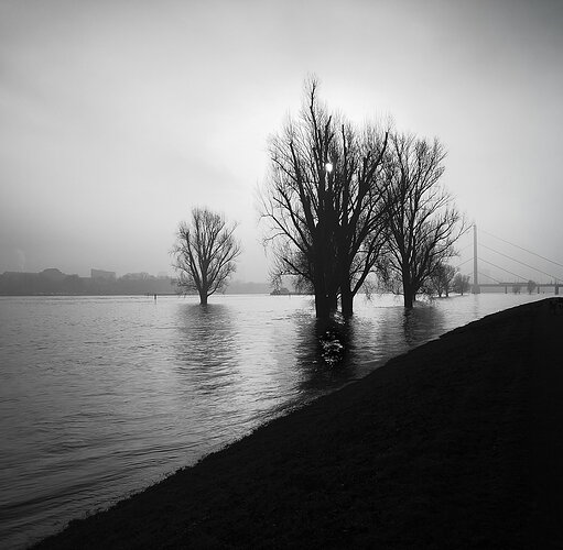 20180127-d-rhein-2