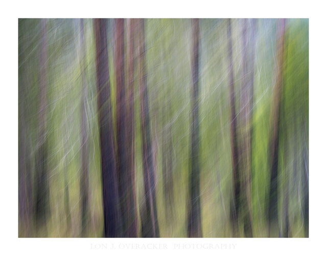 56ZS_0459ICM-npn.jpg