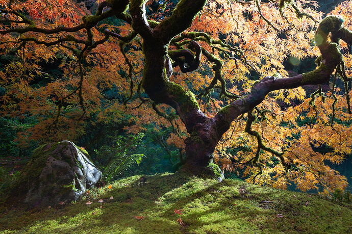 IMG5DIIIPost10k_4026NPNWebLrg-NPNWebLrg 4.9mb-2