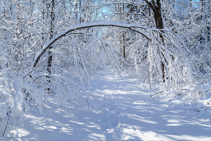 Kristen_SmithJanuary 02, 2026_1013019.jpg