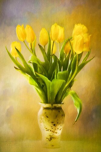 Tulip Still Life