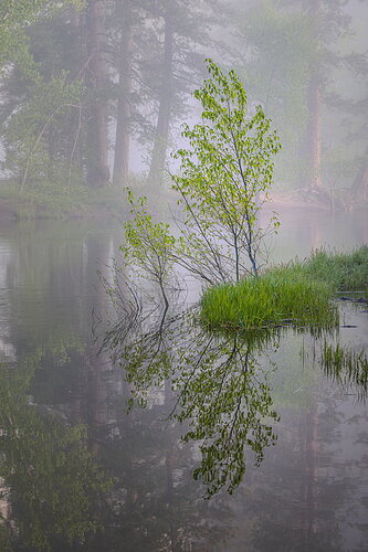 20260506-_Z081369.jpg