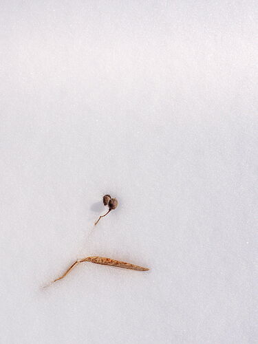 Kristen_SmithFebruary 16, 2021P1049118