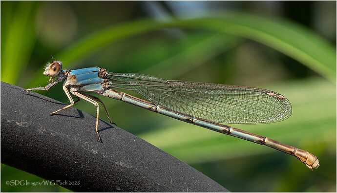 Sitting-Pretty-69759A7r3-26.jpg