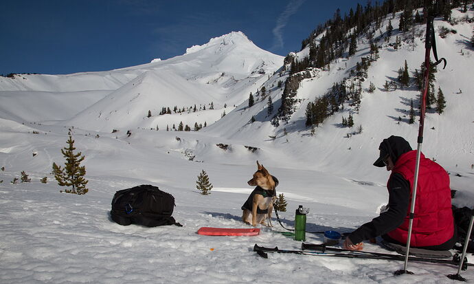 IMG5DIII_0773NPNWebLrg