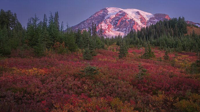 20201006 First Blush prf3