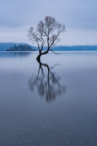 Blue Willow RAW WEB.jpg