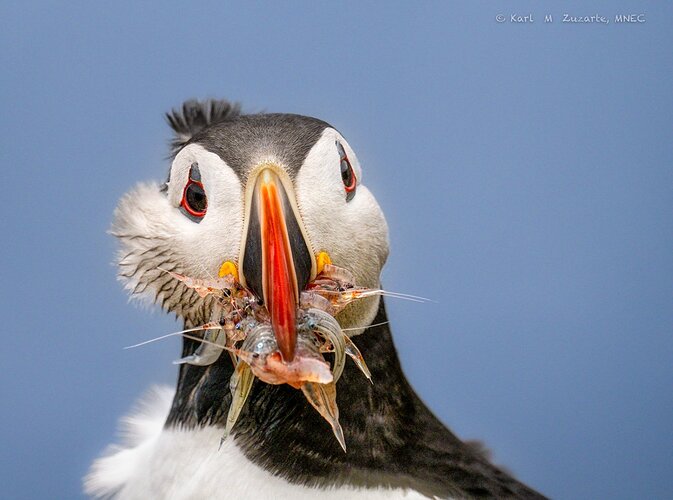 _DSC6551-Enhanced-Edit