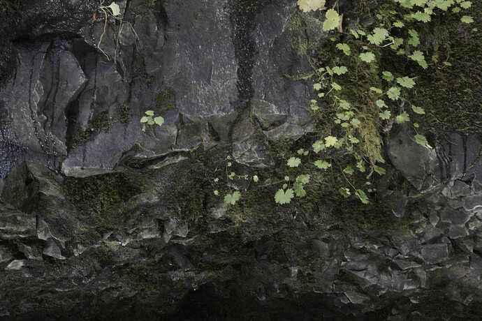 Original - trail wall copy.jpg