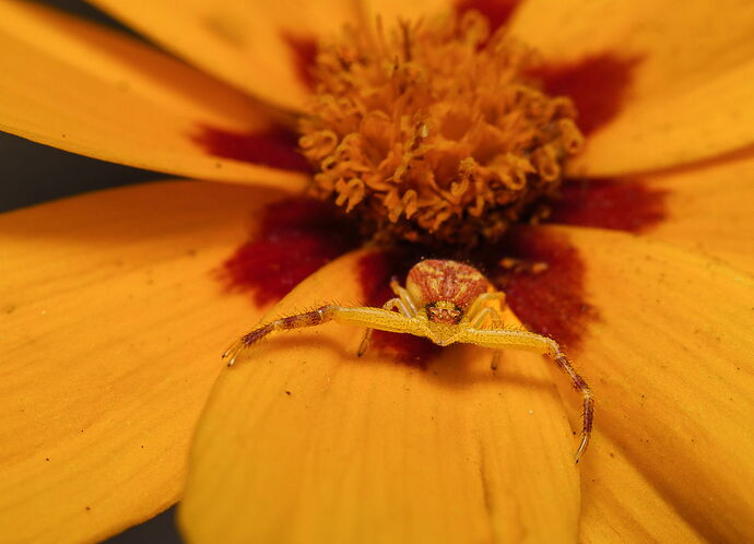 Kristen_SmithSeptember 09, 2025_1012276.jpg