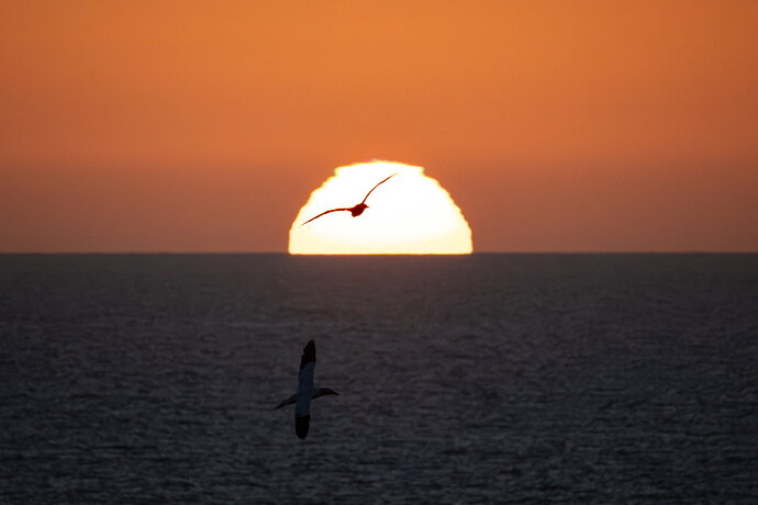 Flying