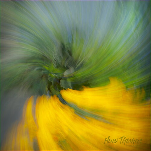 Revision 1 - icm abstract square -Edit Man in chair_.jpg