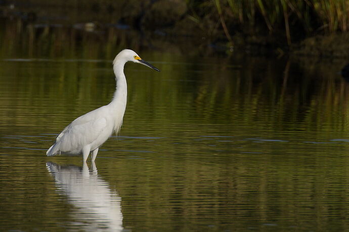_S1A5703_1_DxO.jpg