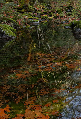 Quiet Disorientation.jpg