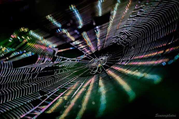 Come into my Lair...
