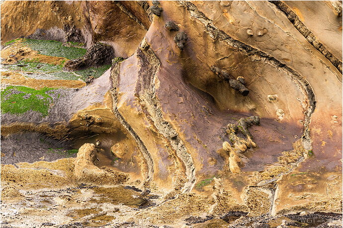 Emulating-Anil0815A772-26.jpg