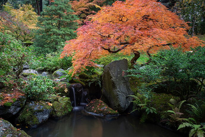 IMG5DIIIPost10k_4041NPNWebLrg-NPNWebLrg 4.9mb-8