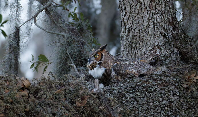 DSC_5055_DxO.jpg