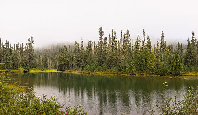 Foggy Reflection Lake.jpg