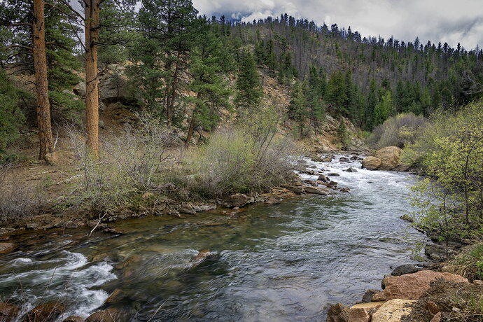 DSC_2088.jpg