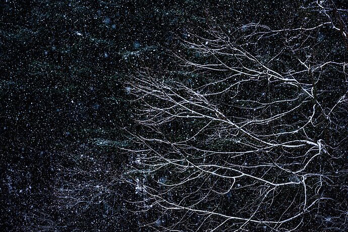 March going out like a lion