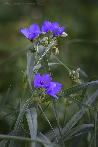 f stacked 20200608__DSC3852_¹⁄₆₄₀ sec at ƒ - 4.0_90 mm_ISO 1000-2
