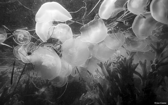 IMG_3208  2025-12-17.jpg