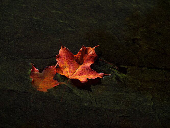 Kristen_SmithSeptember 21, 2023_1173648-Edit