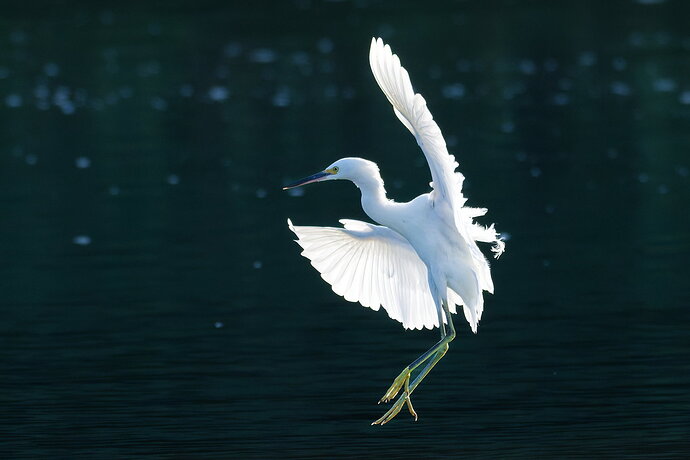 _DSC1164_DxO-1