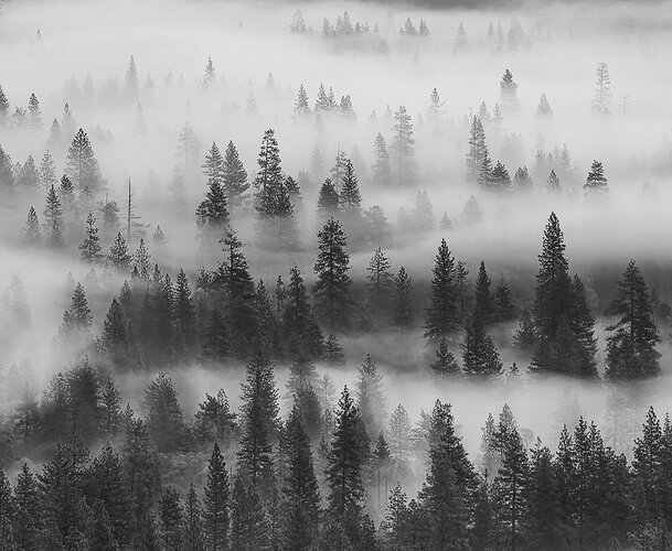 20260506-Z081363-BW