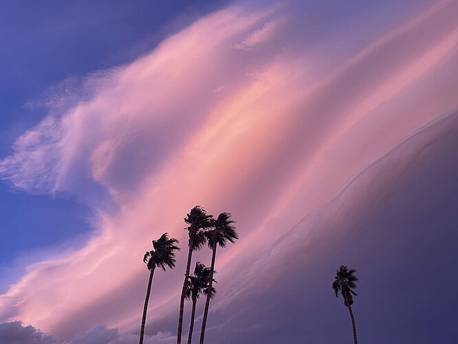 When the Sky Turned Pink