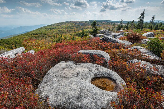 Dolly Sods NPN (1 of 1)