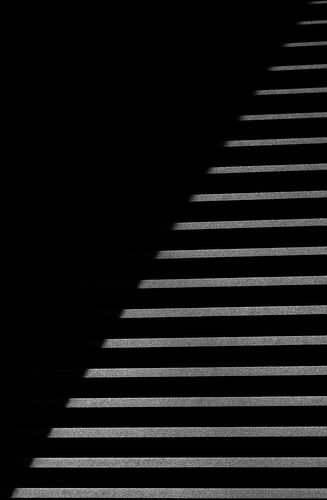 Jim G B85A2520CC_1 copy