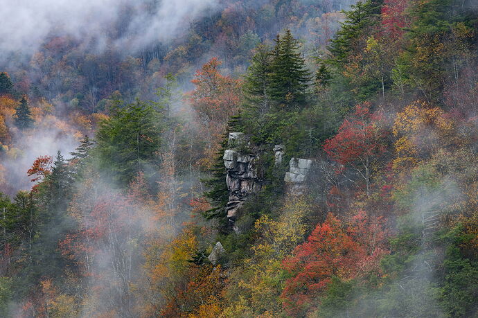_DSC5817-topaz-denoiseraw-sharpen copy.jpg