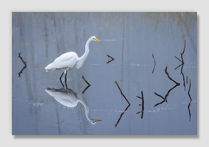 DSC_2134-Edit copy.jpg