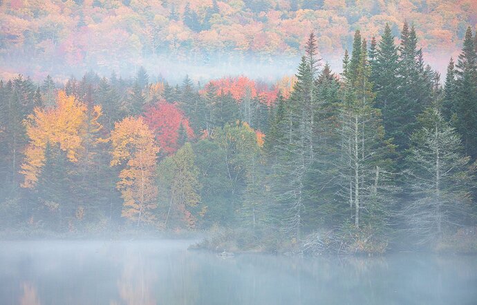 Emerging from the Fog