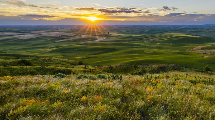 WillemDegroot_WD_3000-HDR-320-321-322-801MLD_Crop2
