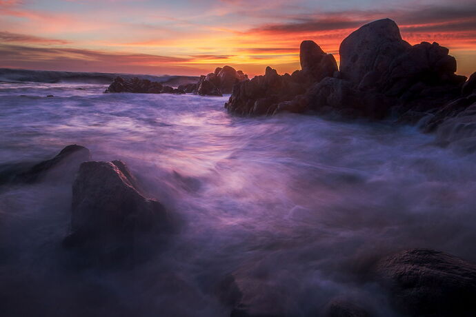 _MG_0223 (1)