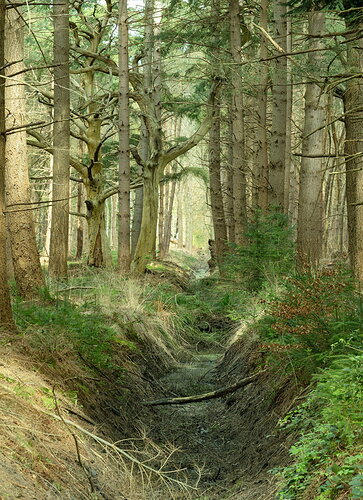 park26A.jpg