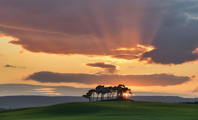 Sunset-Rays-Gollanfield-ntl