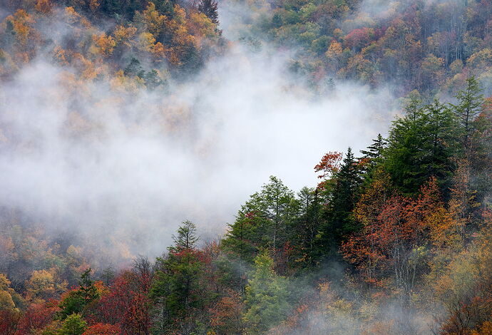 _DSC5825-topaz-denoiseraw-sharpen copy.jpg