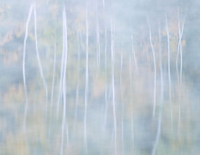 _DSC7415 copy # 2.jpg