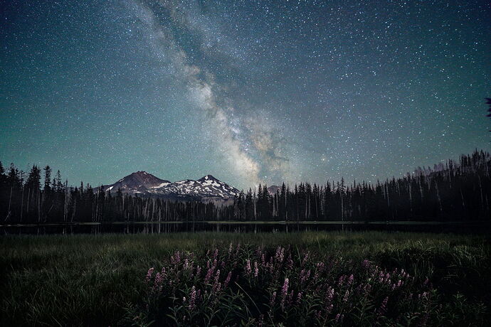 NPN 2025 Best D_Slater-3.jpg